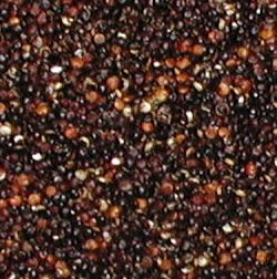 Quinoa - Organic Black